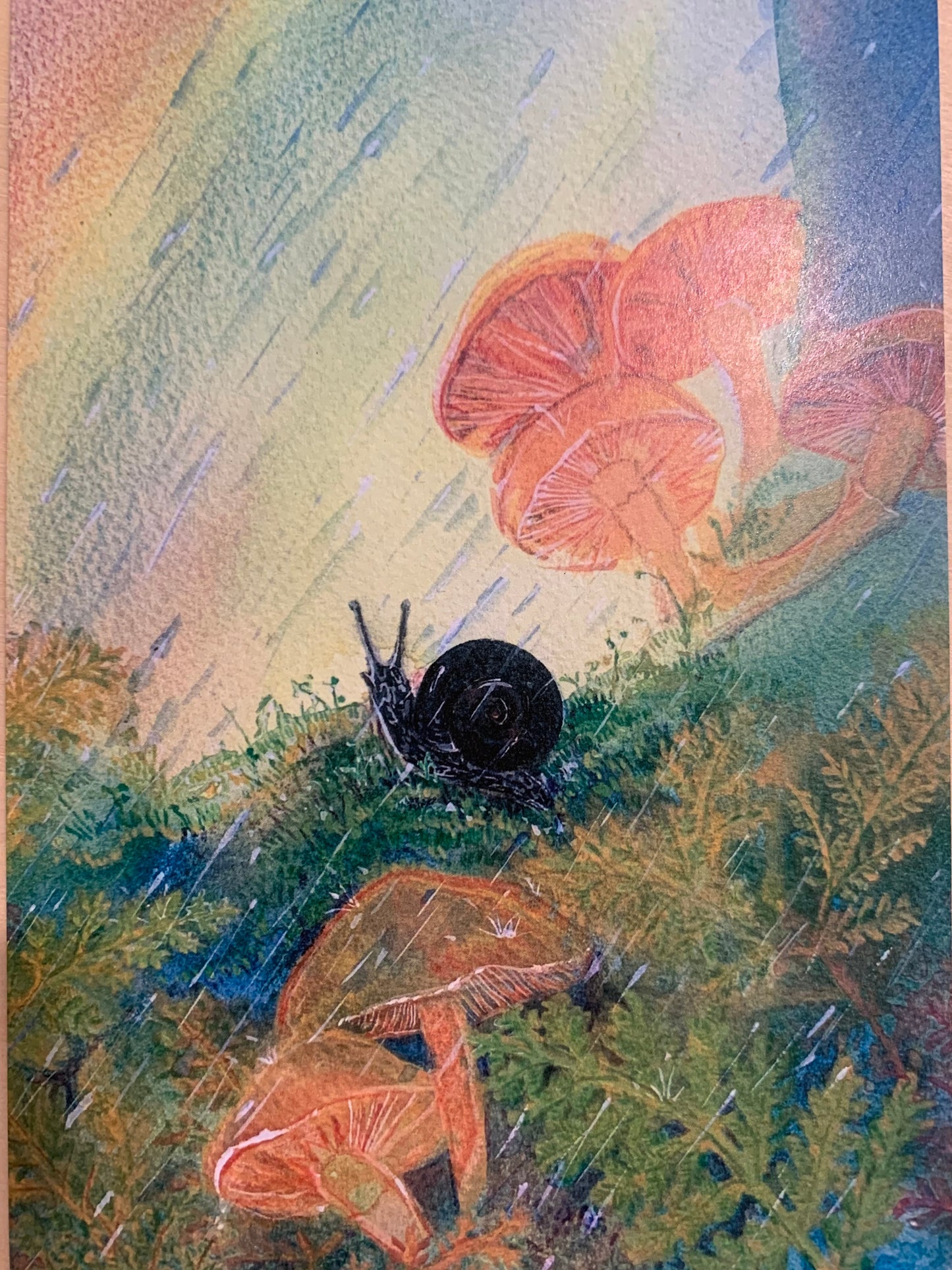 Australian Steiner Artist postcards