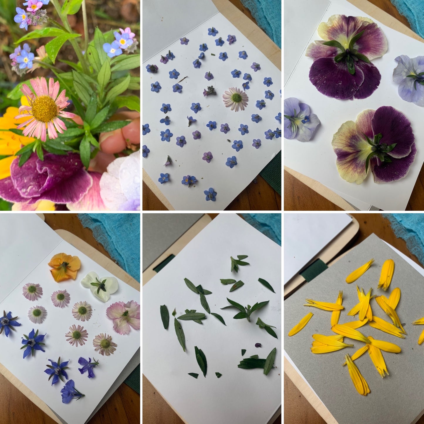 Toverlux DIY Flower Press