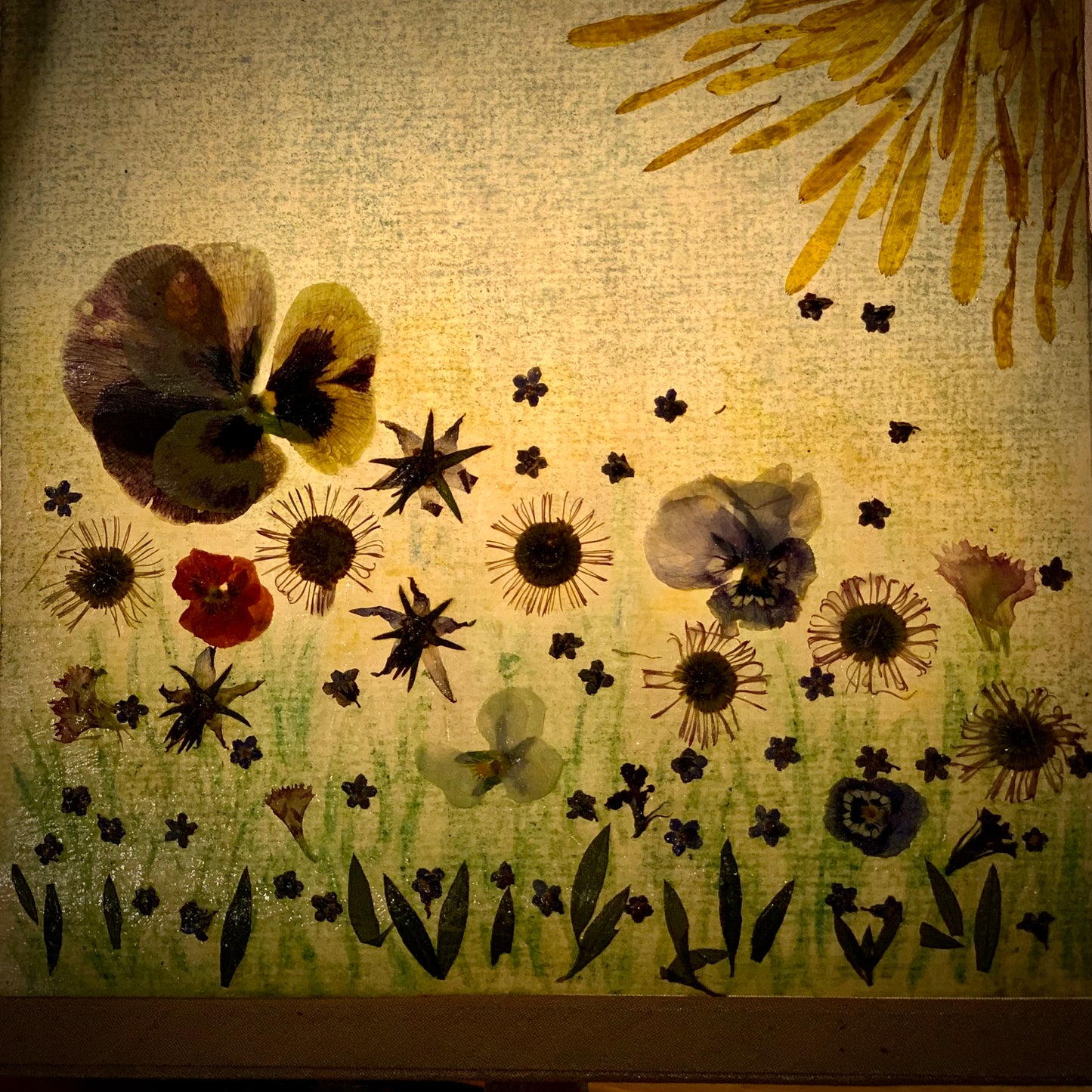 Toverlux DIY Flower Silhouette Kit