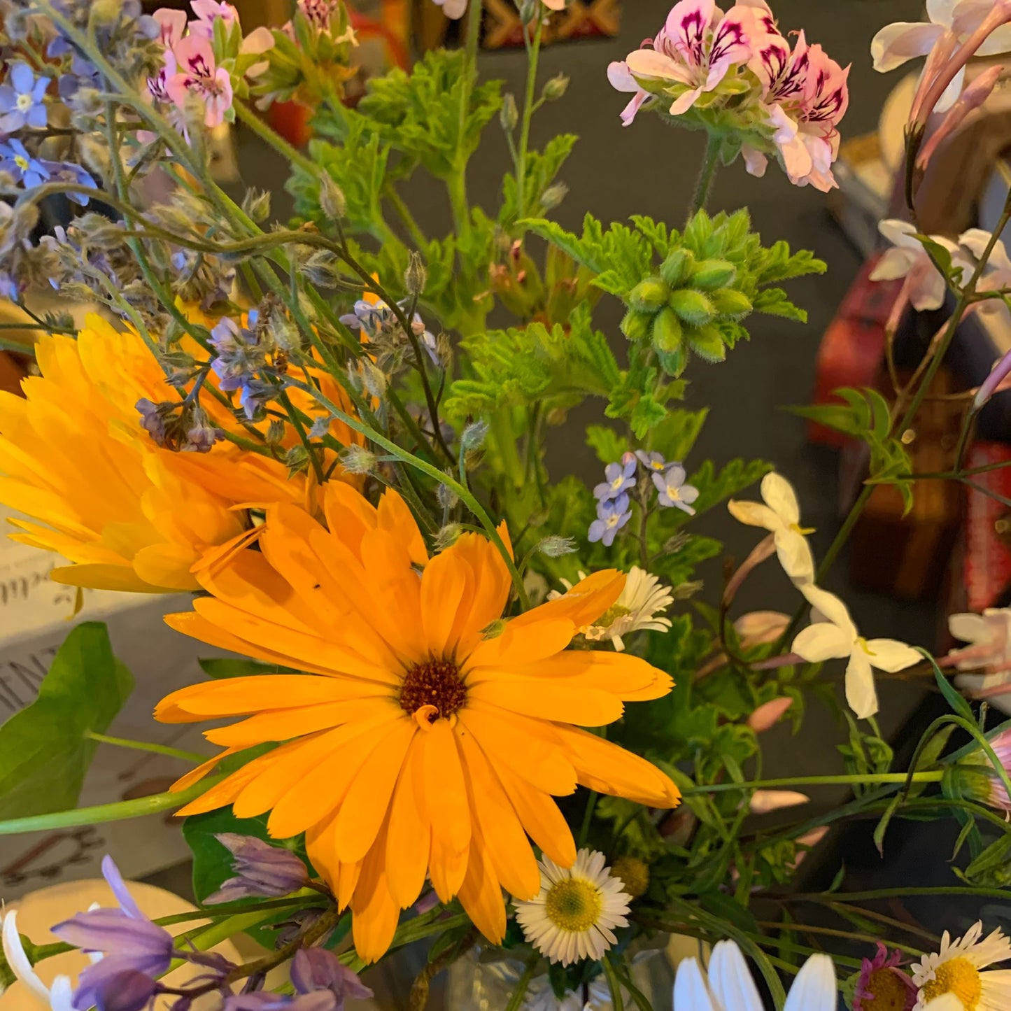 Ambrosius Spring Season Flower Fairies