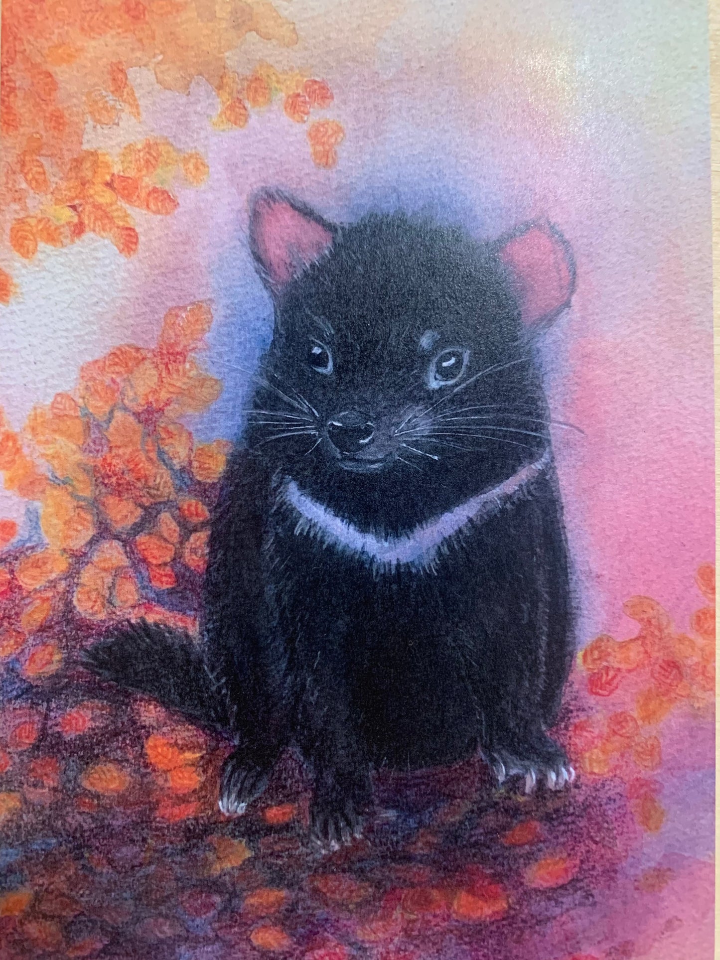 Australian Steiner Artist postcards