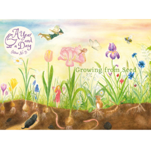 A Year and a Day - Seasonal magazines