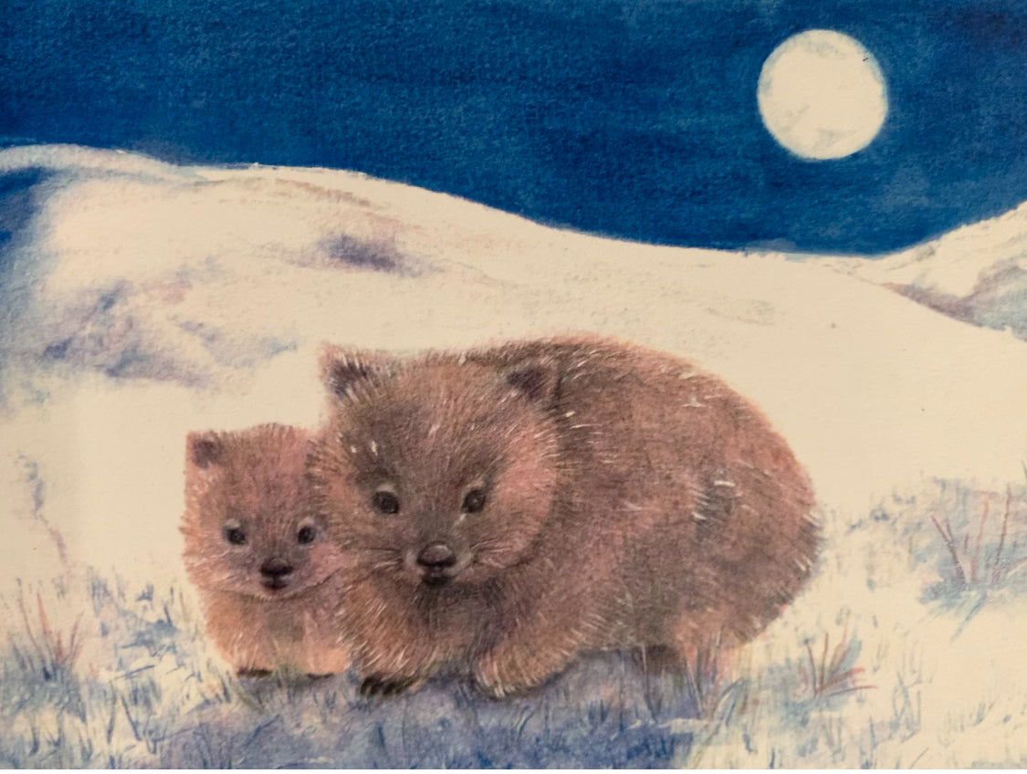 Australian Steiner Artist postcards