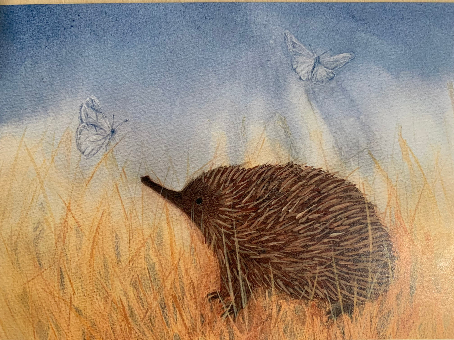 Australian Steiner Artist postcards