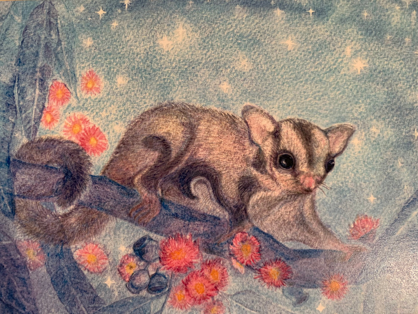 Australian Steiner Artist postcards