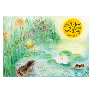 A Year and a Day - Seasonal magazines