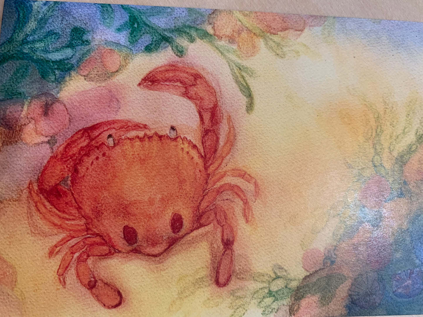 Australian Steiner Artist postcards