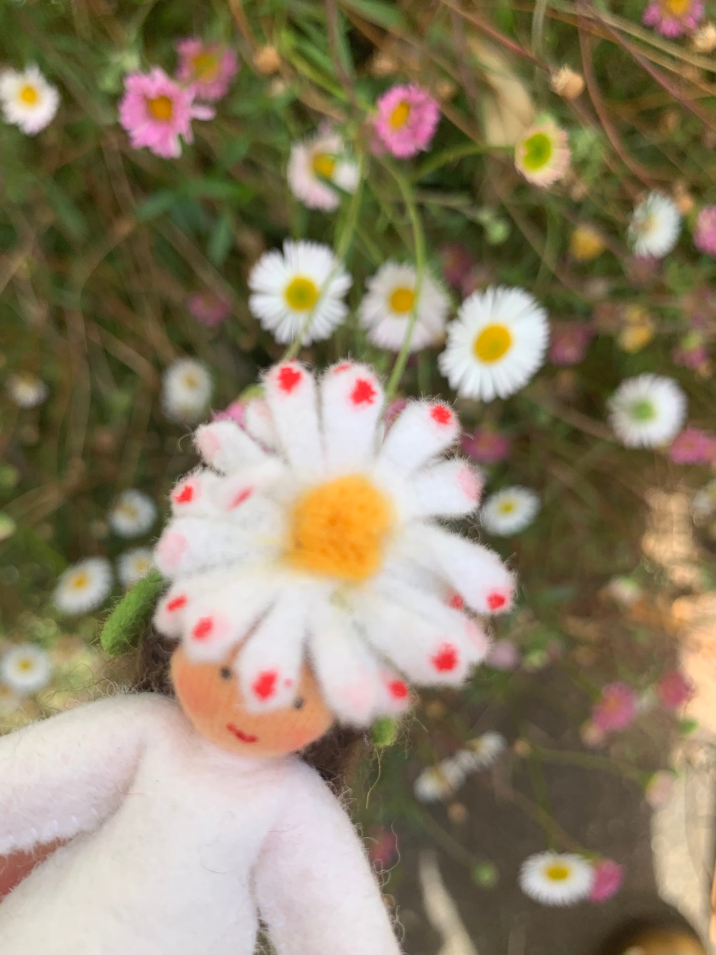 Ambrosius Spring Season Flower Fairies