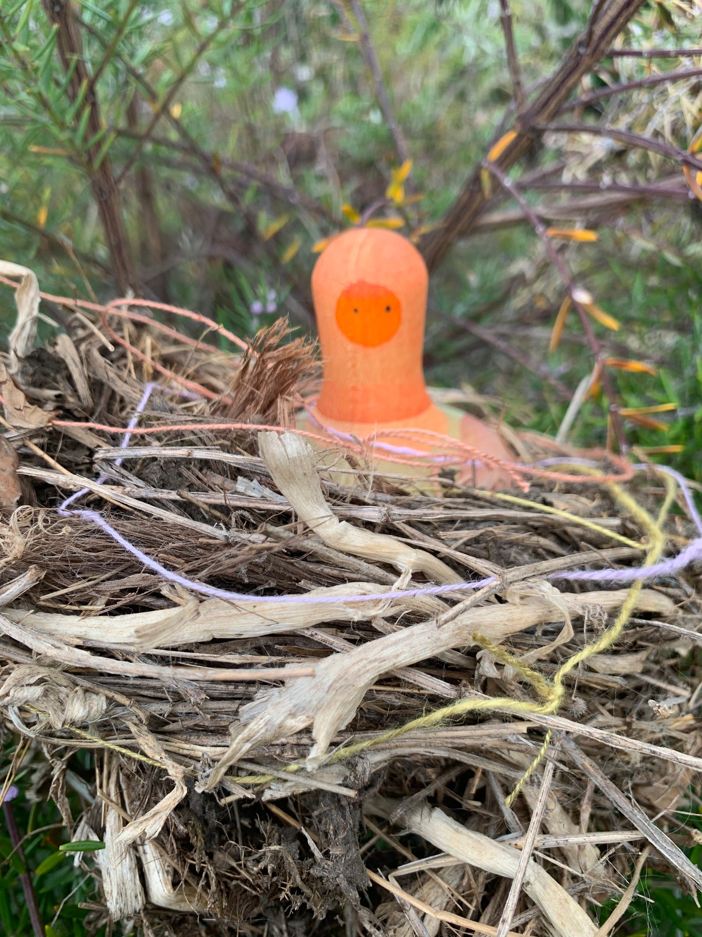 Grapat 2025 - Birds - new release now available