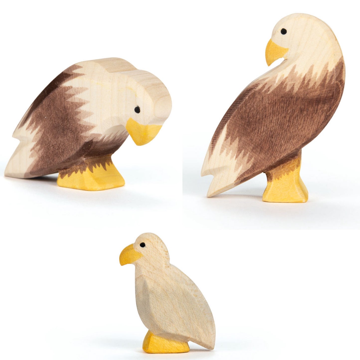 Ostheimer Bald Eagles - New 2026