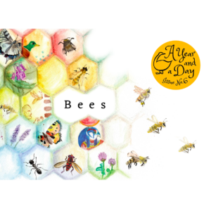 A Year and a Day - Seasonal magazines