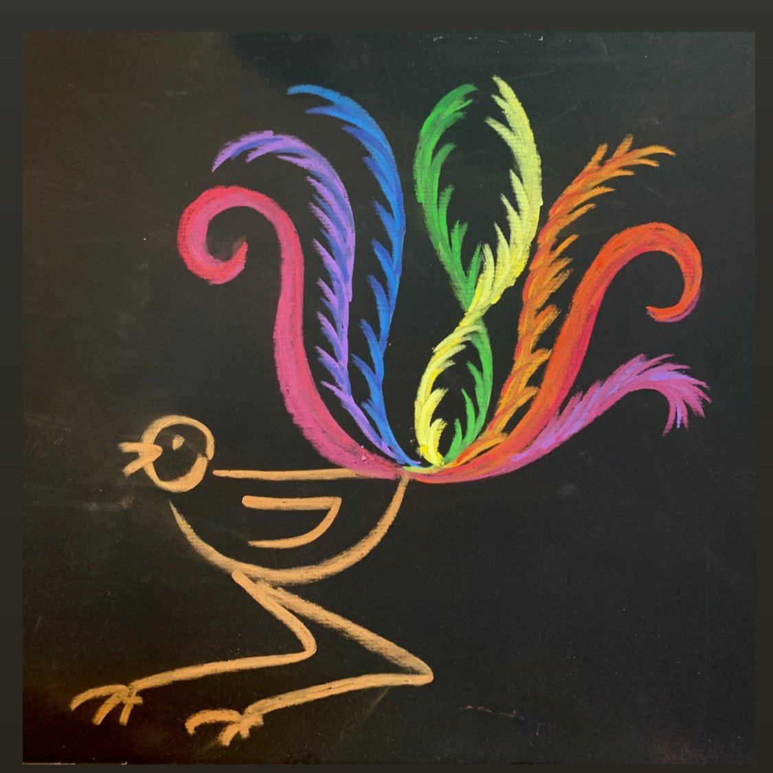 a chalkboard drawing of a Lyrebird with a rainbow tail. Drawn with Apiscor chalk.