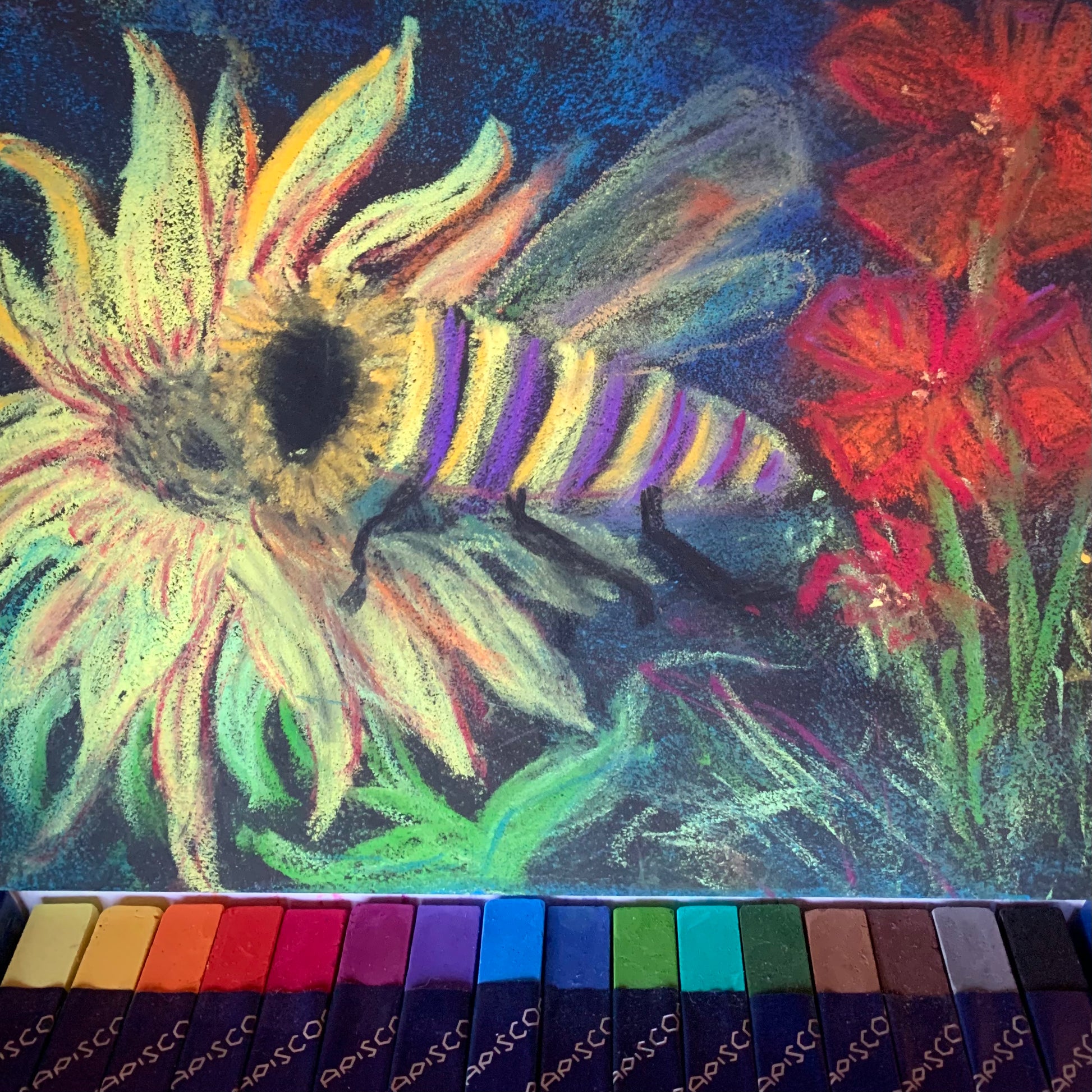A blackboard drawing,  of a bee collecting nectar from flowers is by a Steiner teacher. This drawing was created using Apiscor chalks.