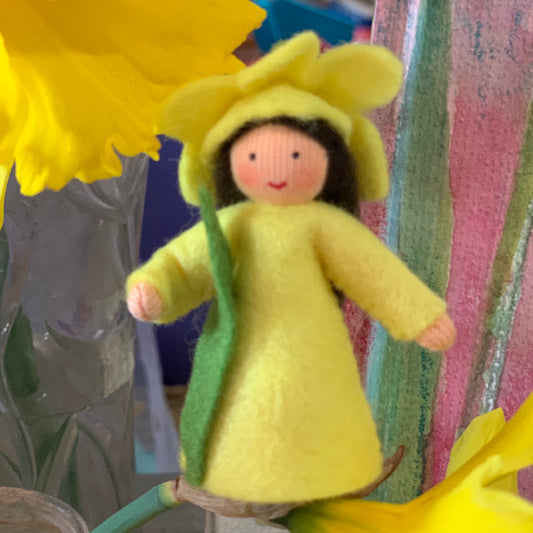 Ambrosius Winter Season Flower Fairies