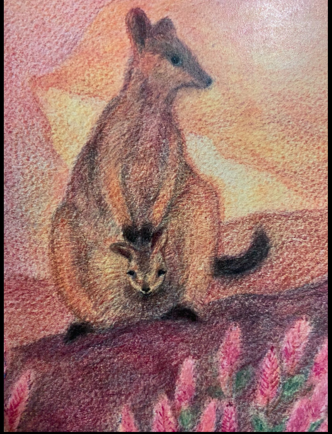 Australian Steiner Artist postcards