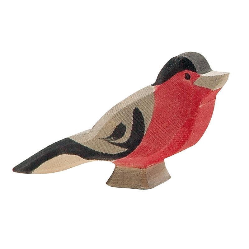 Ostheimer bullfinch bird with crimson chest