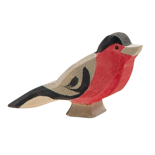 Ostheimer bullfinch bird with crimson chest