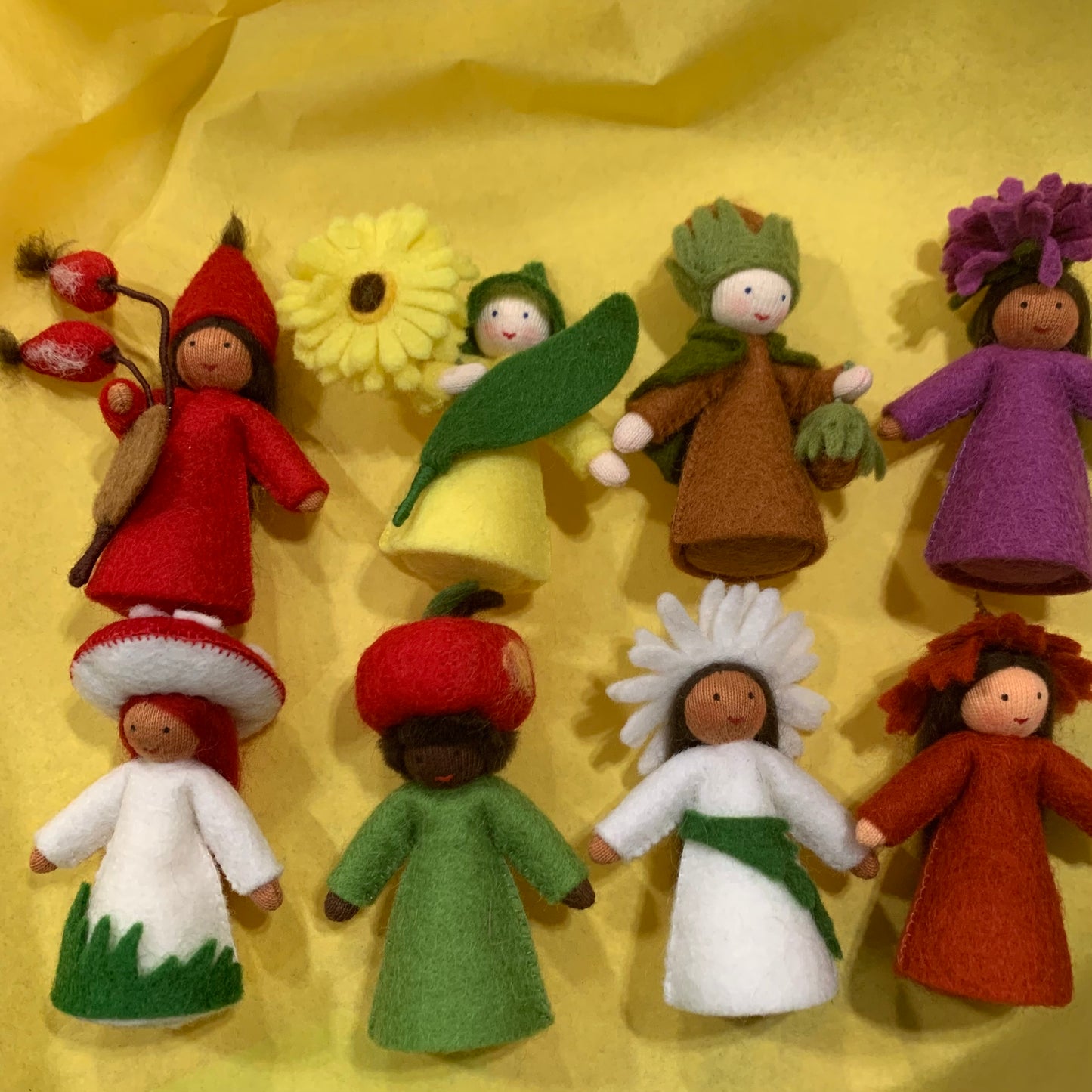 Ambrosius Autumn Season Flower Fairies