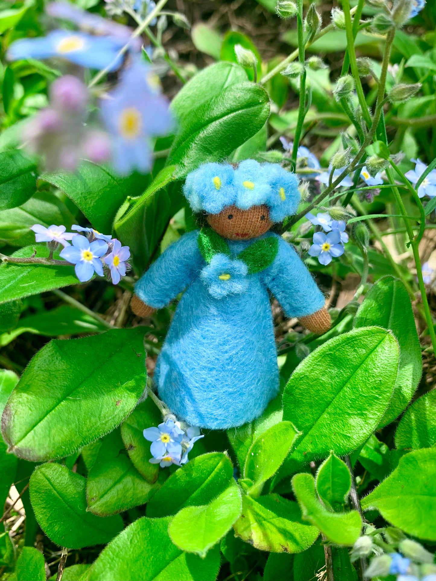 Ambrosius Spring Season Flower Fairies