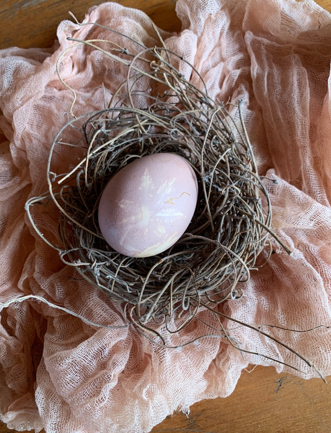 natural plant dyed egg for Easter nature table display