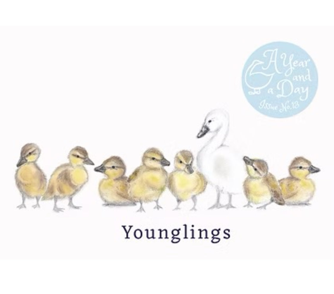 A Year and a Day - Seasonal magazines