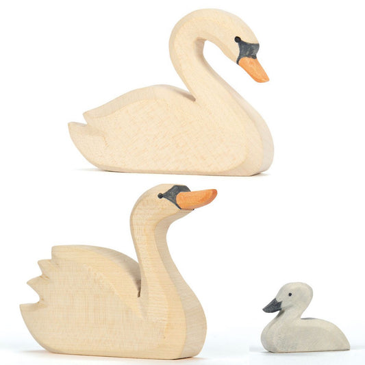 Ostheimer NEW - 2025 Swans