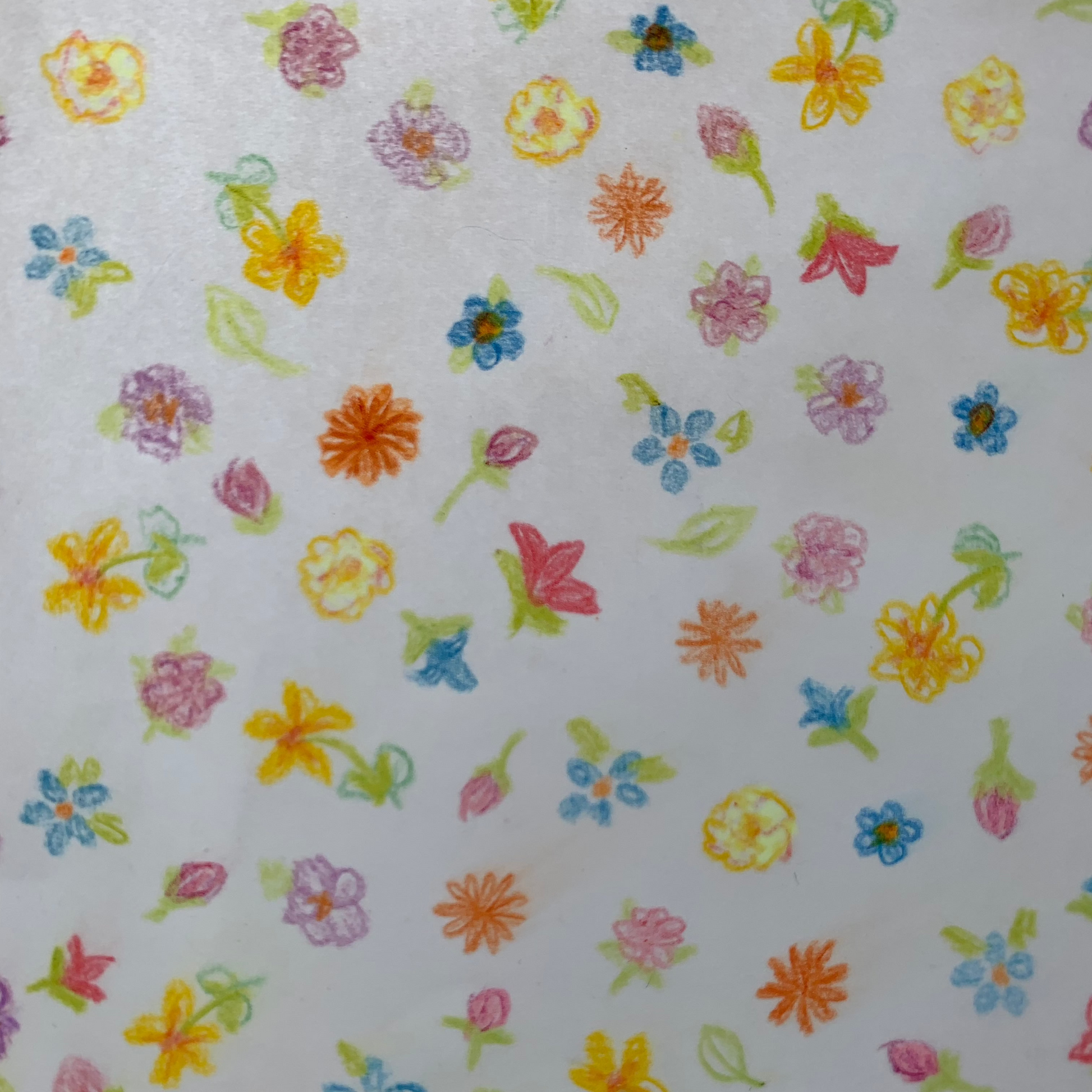 Pencil drawing created using Lyra pencils