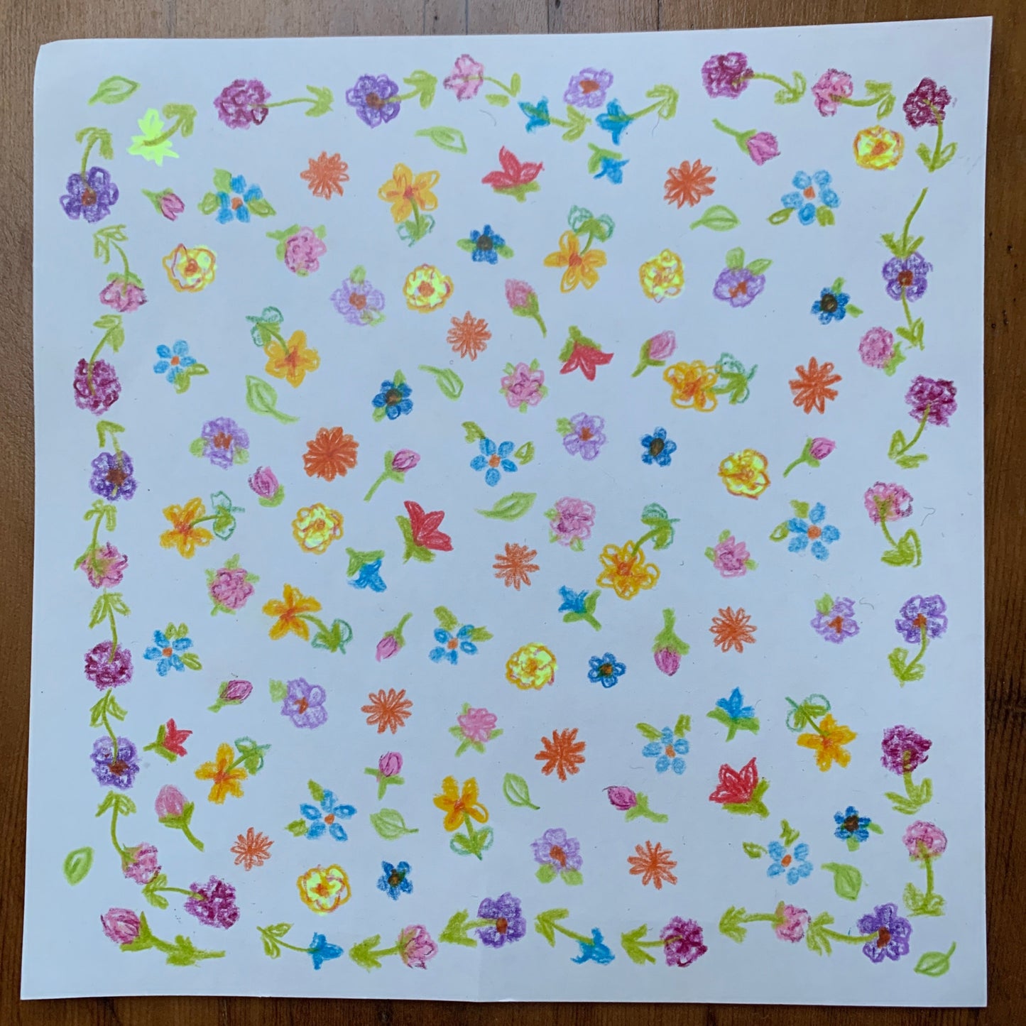 flowers drawn on Toverlux silhouette paper with Steiner school pencils