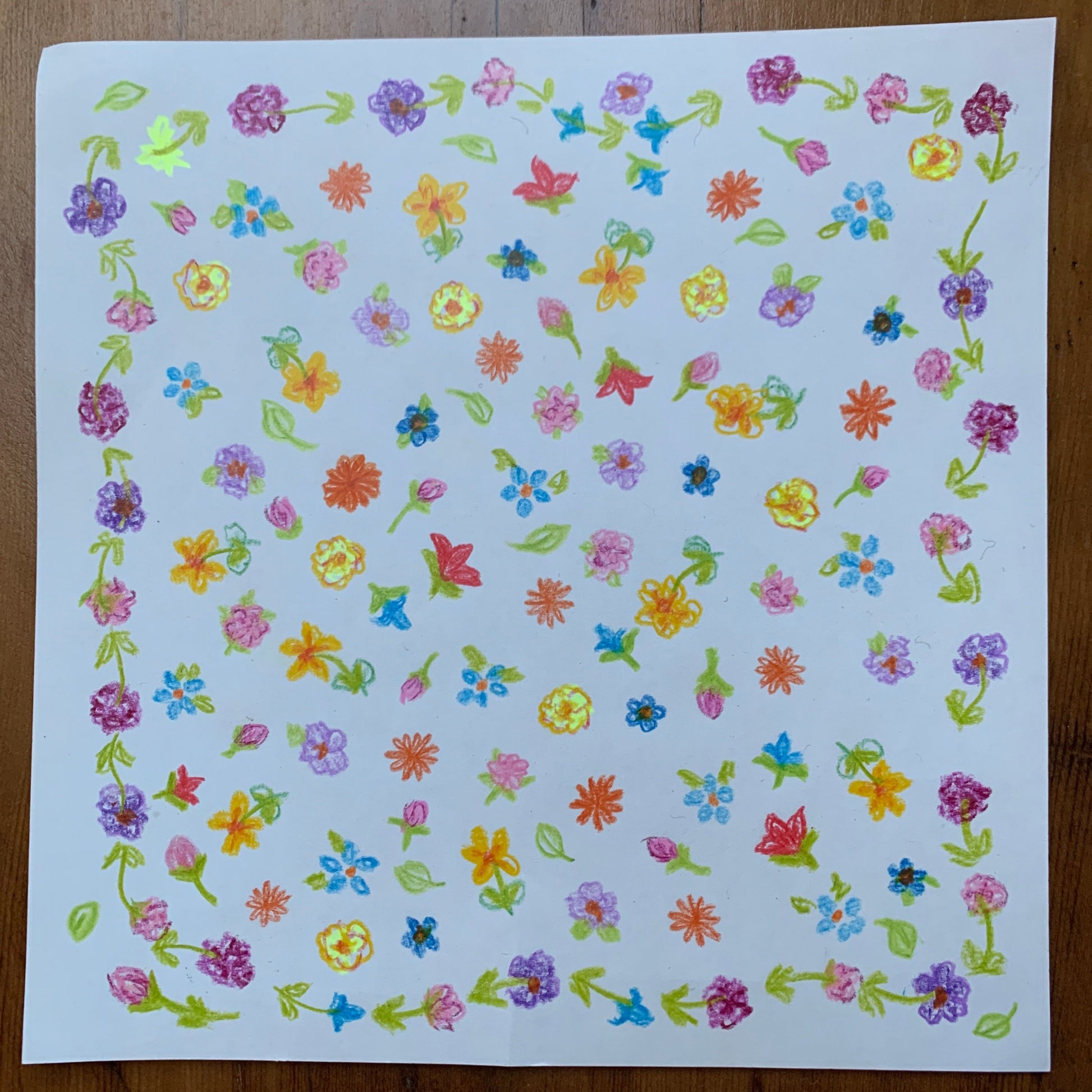 flowers drawn on Toverlux silhouette paper with Steiner school pencils
