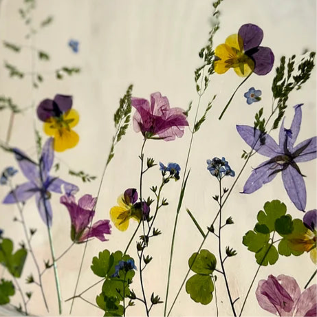 pressed flowers captured in a DIY silhouette screen