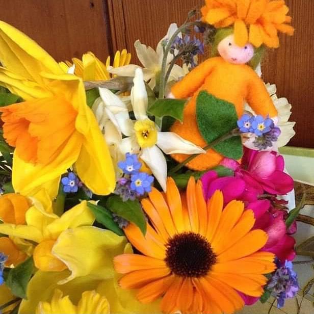 Spring flower fairies