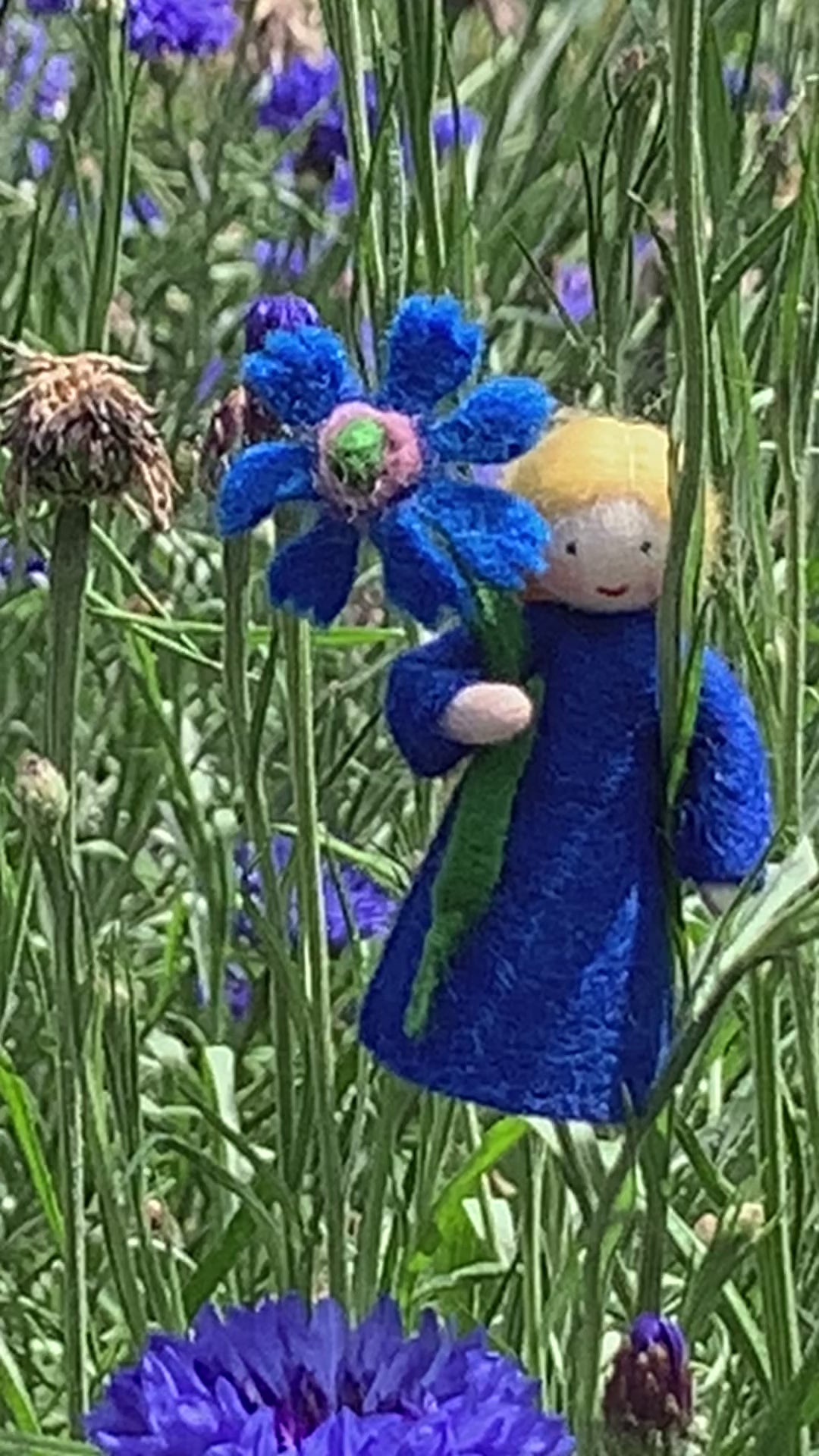 blue cornflower miniature  Steiner felt fairy