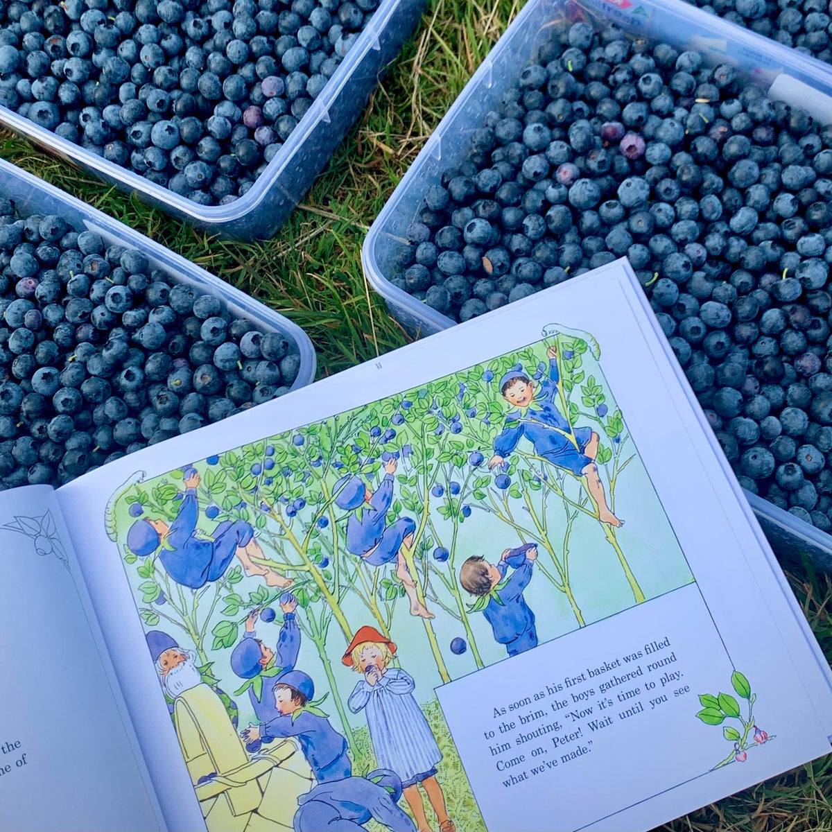 Elsa Beskow books