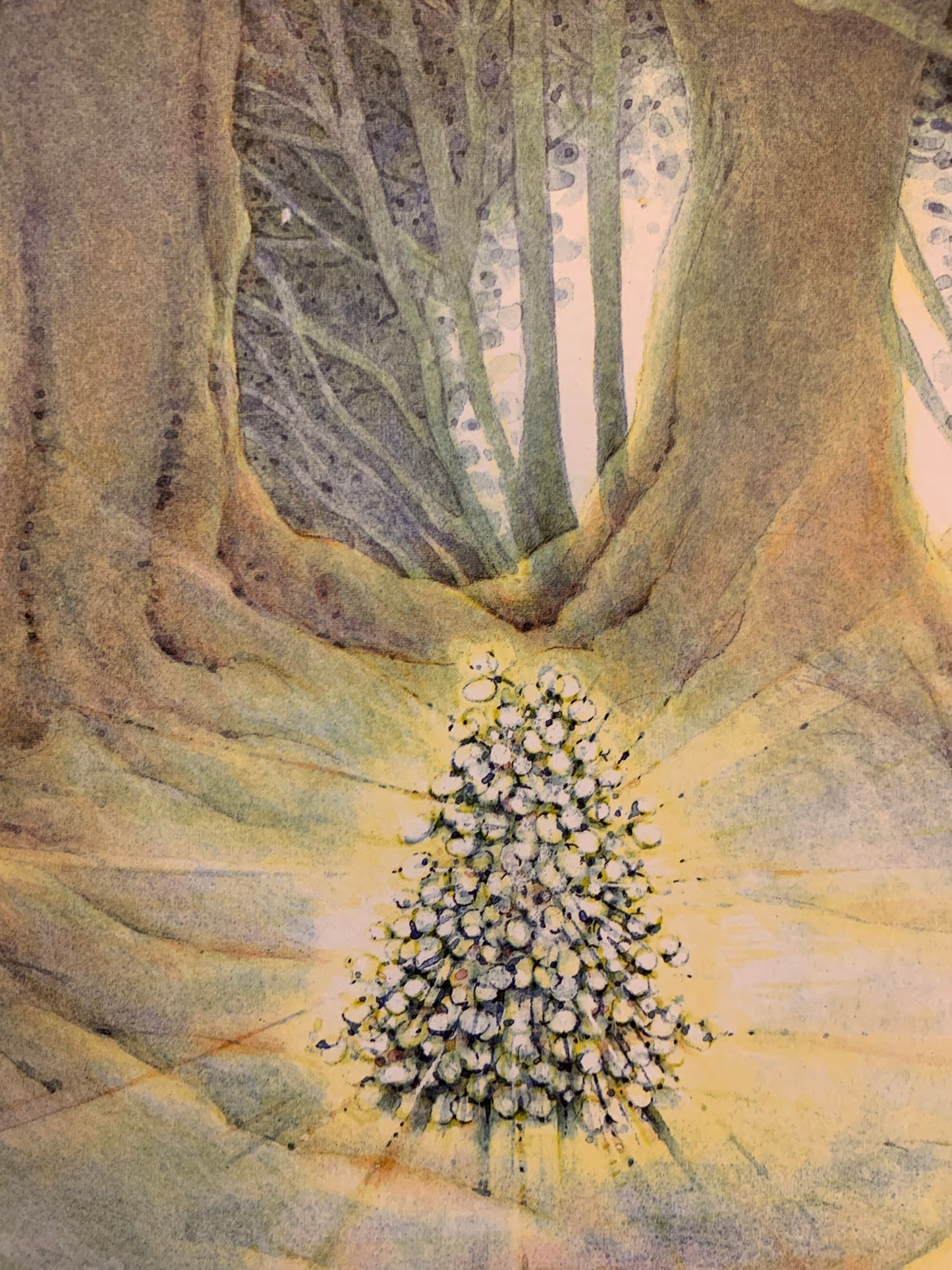 The Little Christmas Tree book