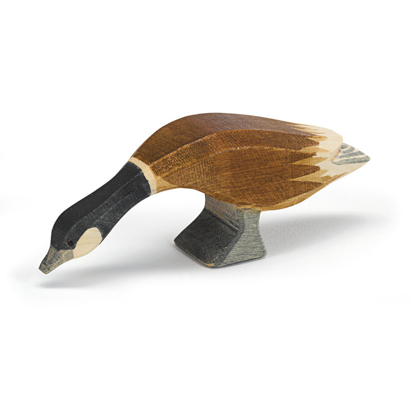 Ostheimer Canada Goose