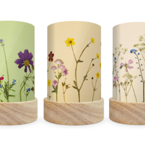Toverlux Lantern Shades - Beth Kendall NEW ARTIST Set of 5