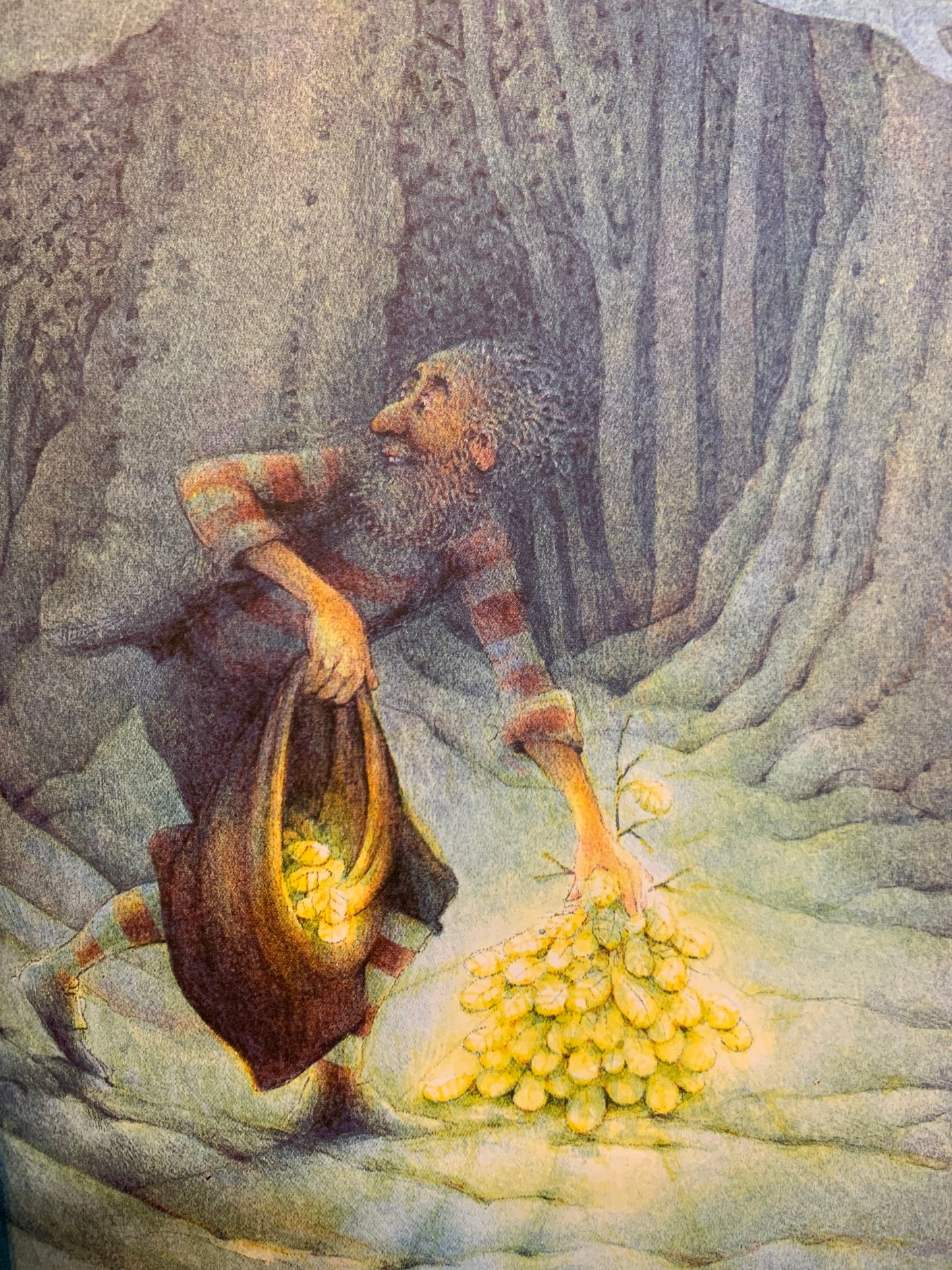 The Little Christmas Tree book