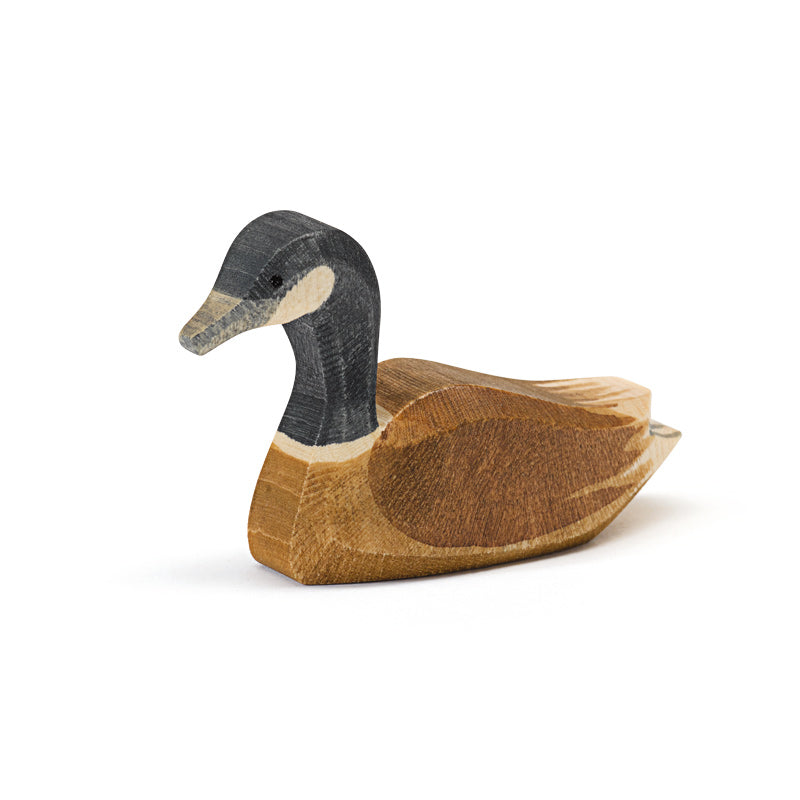 Ostheimer Canada Goose