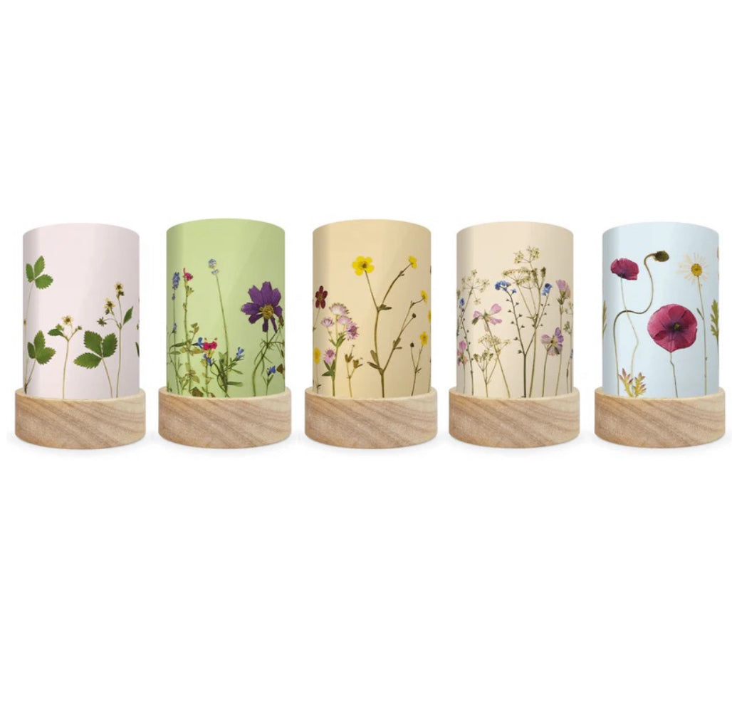 Toverlux Lantern Shades - Beth Kendall NEW ARTIST Set of 5