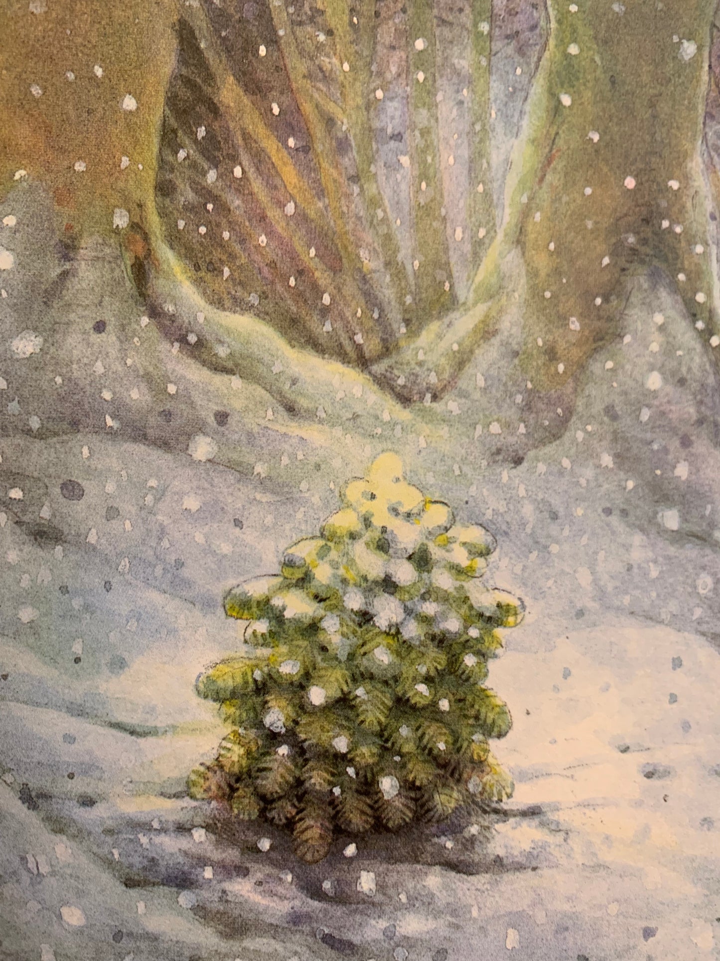 The Little Christmas Tree book