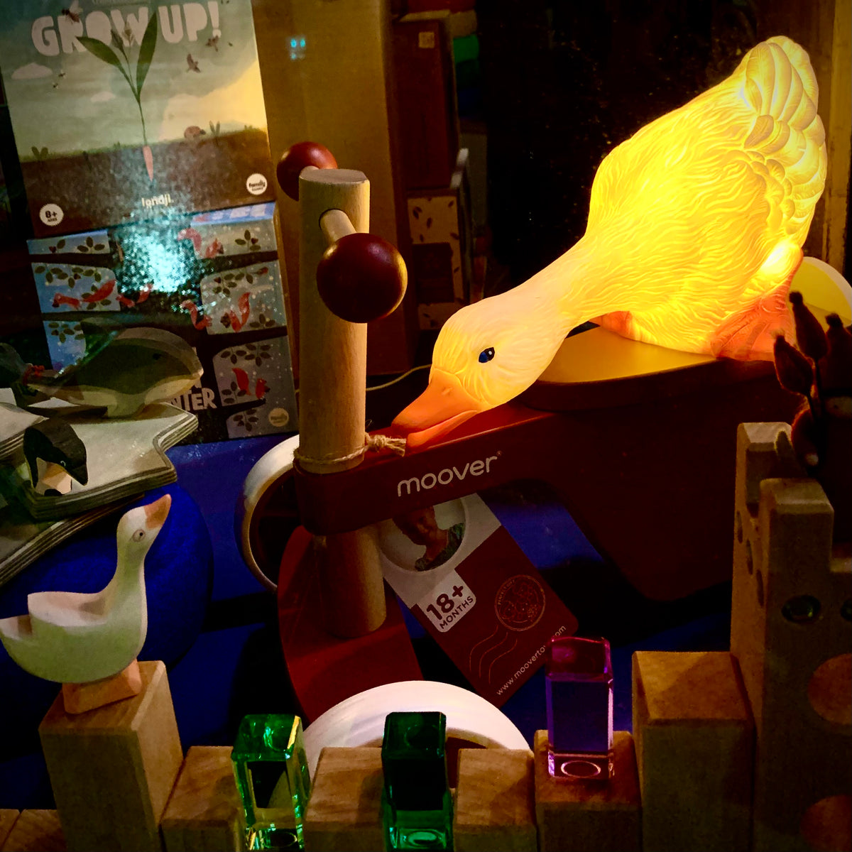 A life sized duck lamp in a curious pose, lit up at night in a toy shop window
