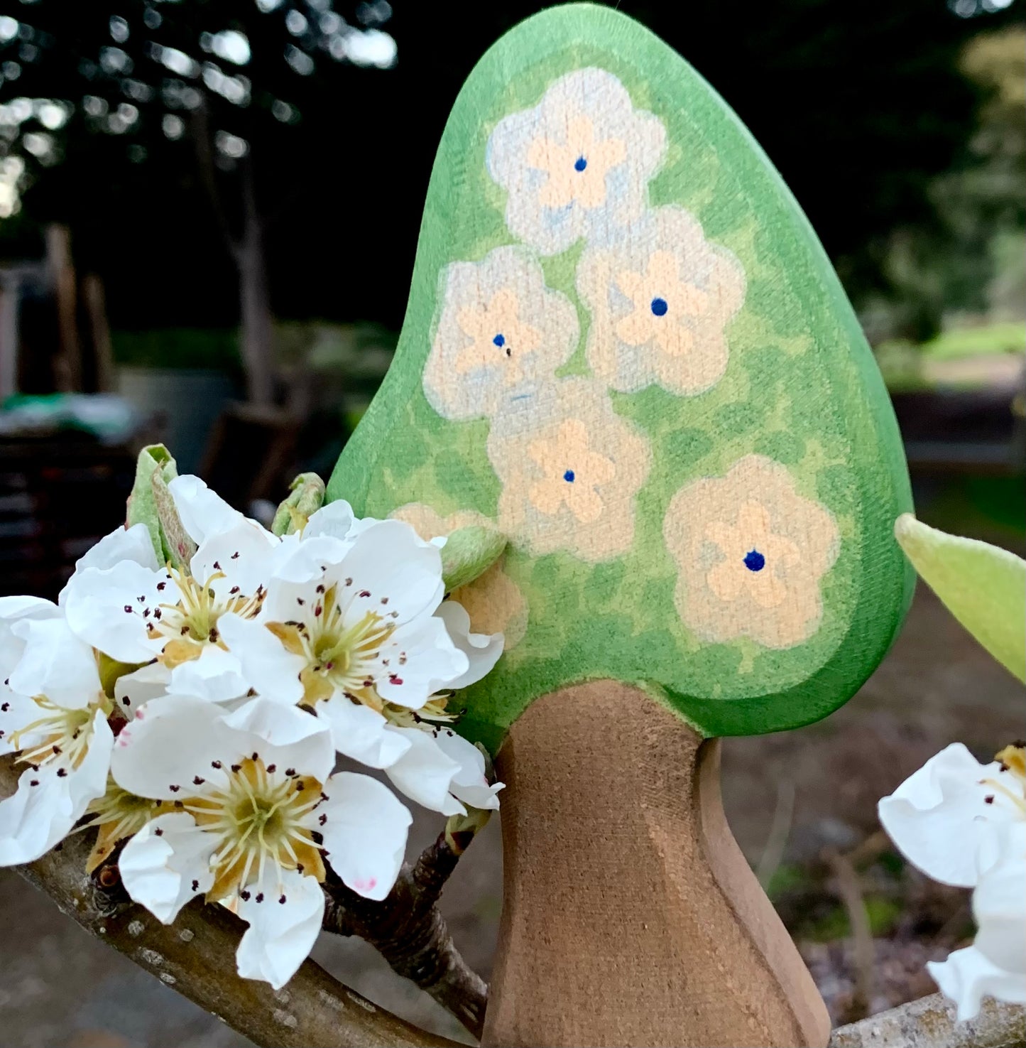 Ostheimer fruit and blossom trees