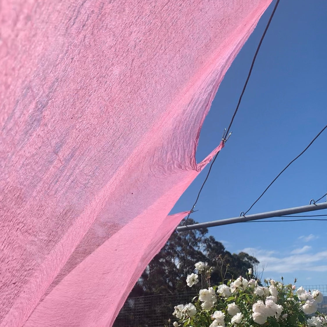 Lyrebird hand dyed cotton muslin decoration cloths
