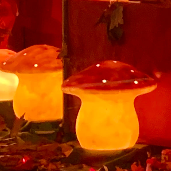 Heico Egmont Mushroom Lamps -  large size - assorted colours