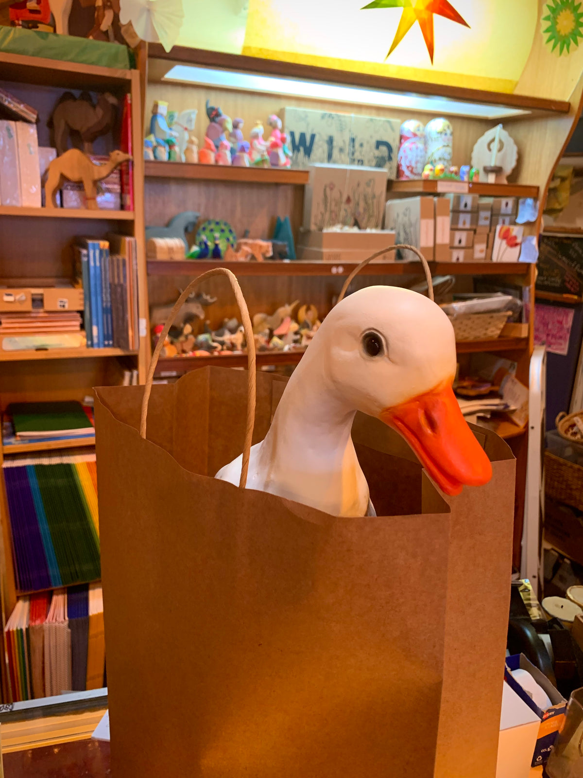 A duck looking out of a brown paper shopping bag on a shop counter 