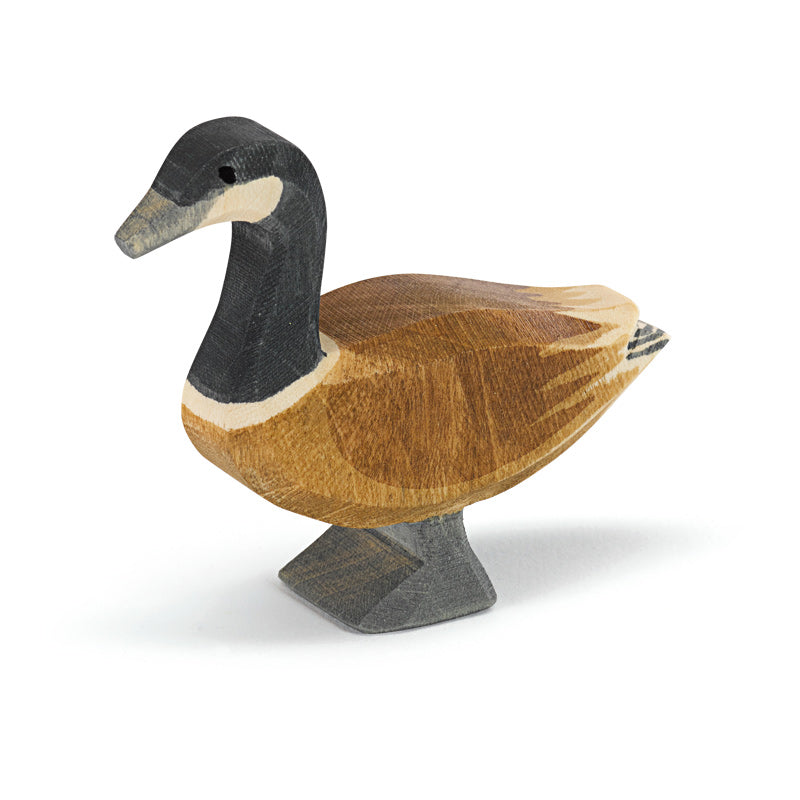 Ostheimer Canada Goose
