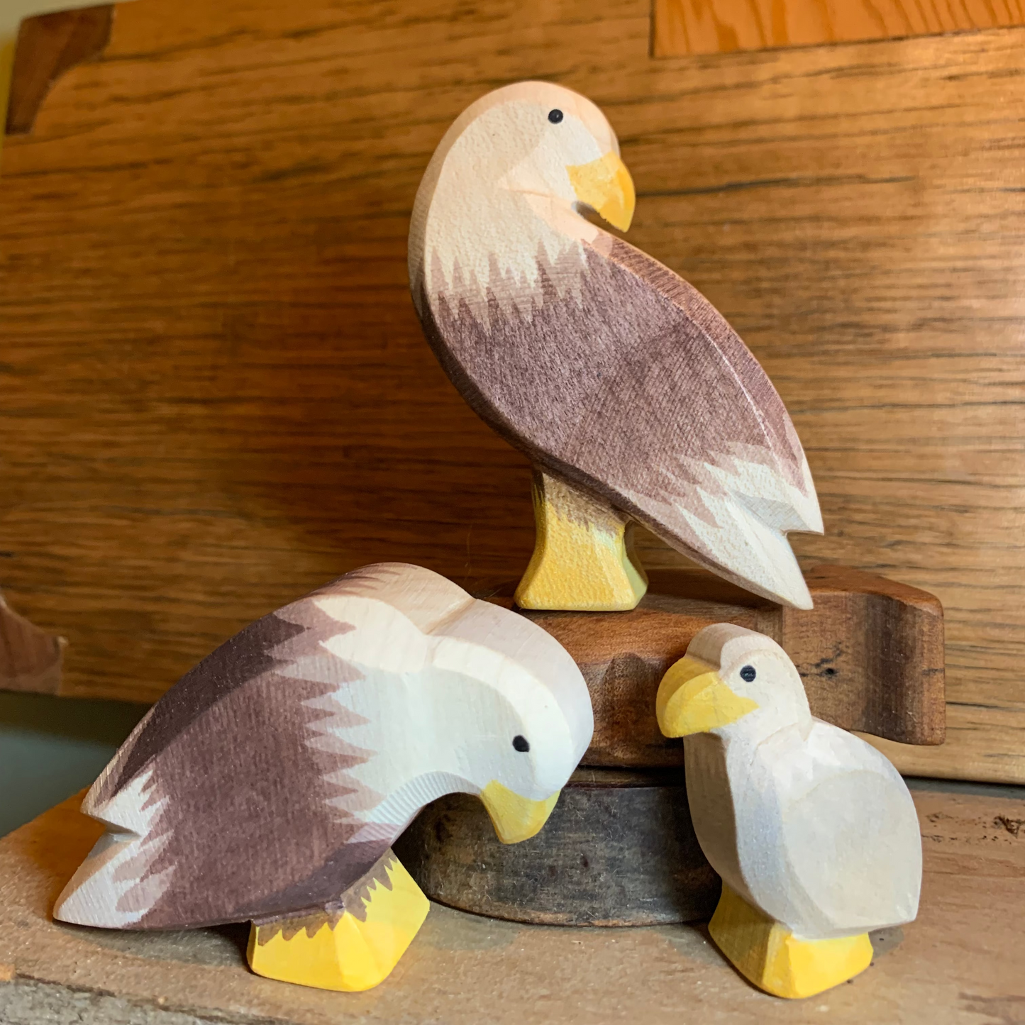 Ostheimer Bald Eagles - New 2026