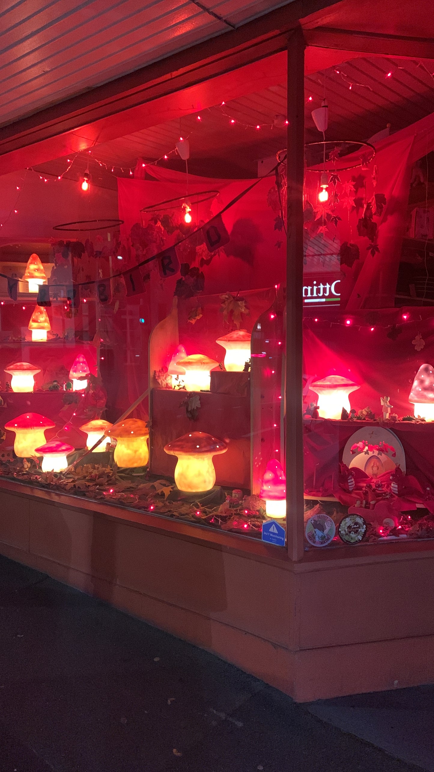 Window Sale - Mushroom lamps