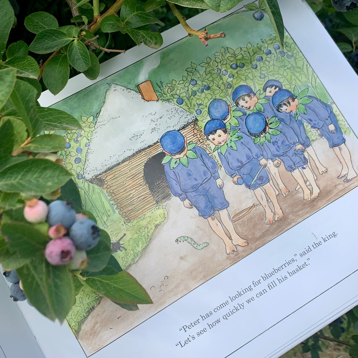 Illustrated book page with children in blue outfits near a cabin, surrounded by blueberries.