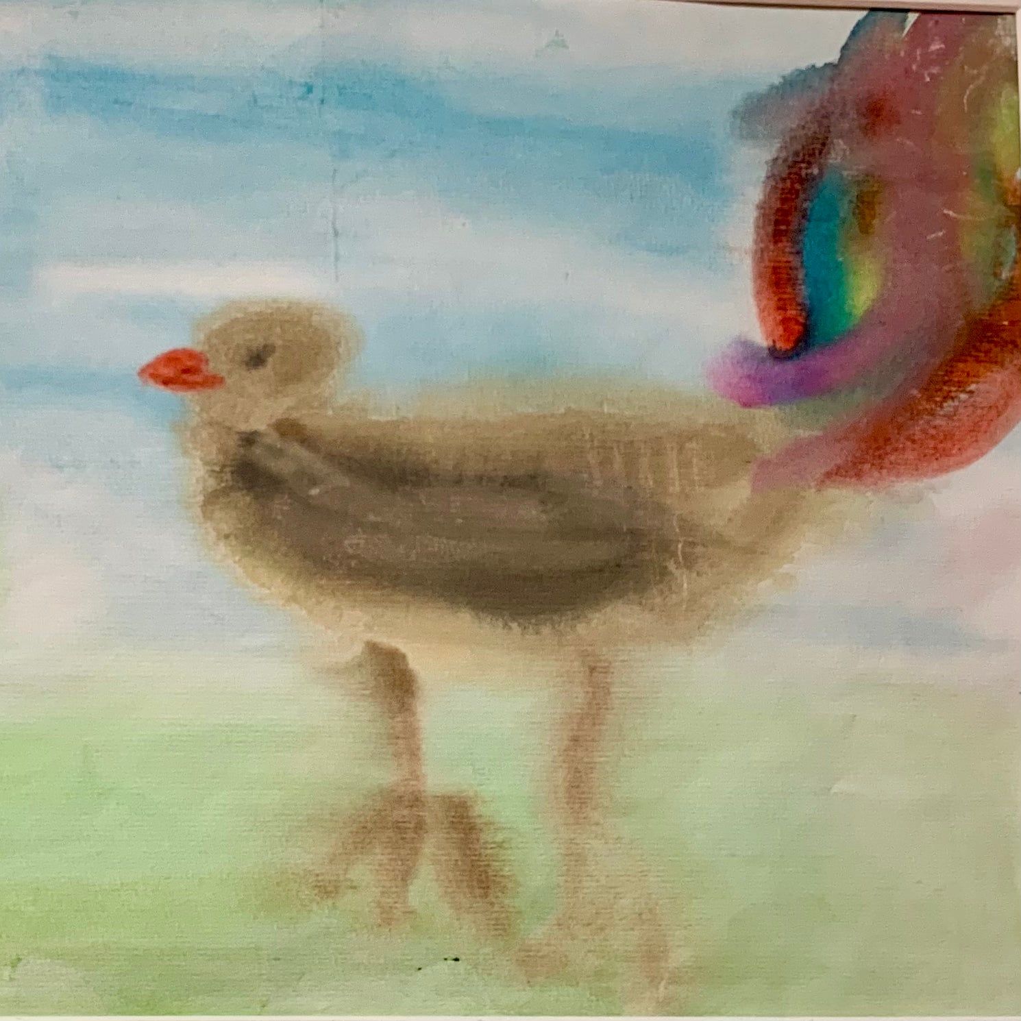 Colorful lyrebird watercolour painting by a child  